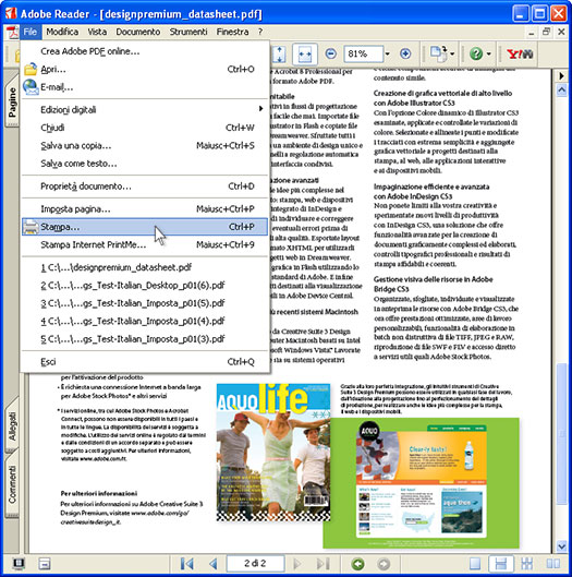 Aprire il file PDF in Adobe Acrobat o Adobe Reader e premere File-Stampa... nel menu principale dell'applicazione: