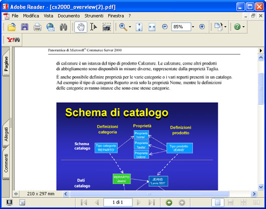 Il documento convertito in Adobe Acrobat.