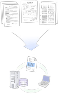 Sistema di workflow aziendale